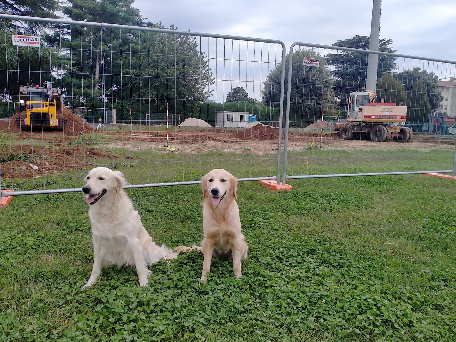 Quella mattina di un giorno da cani