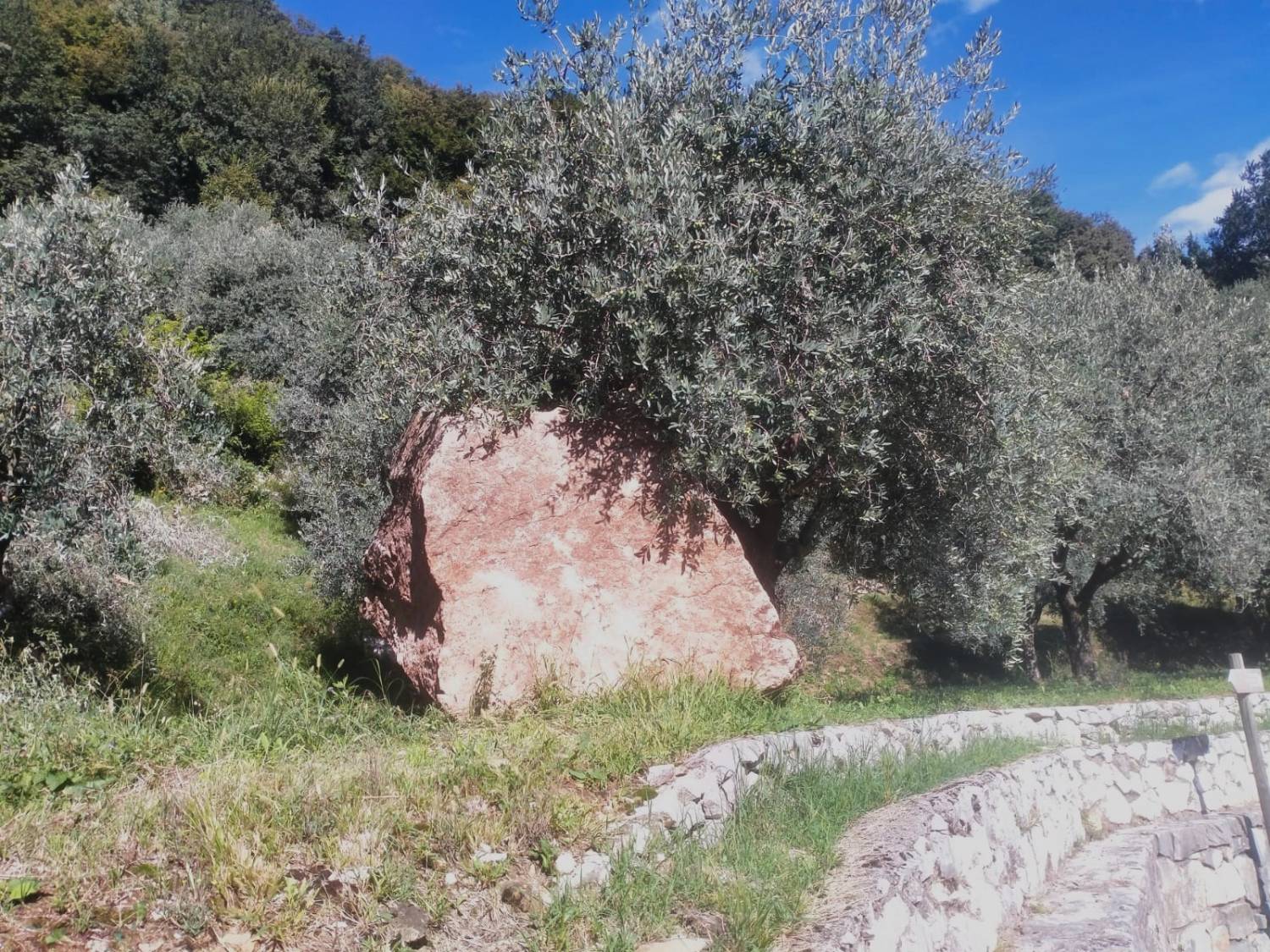 Il massone