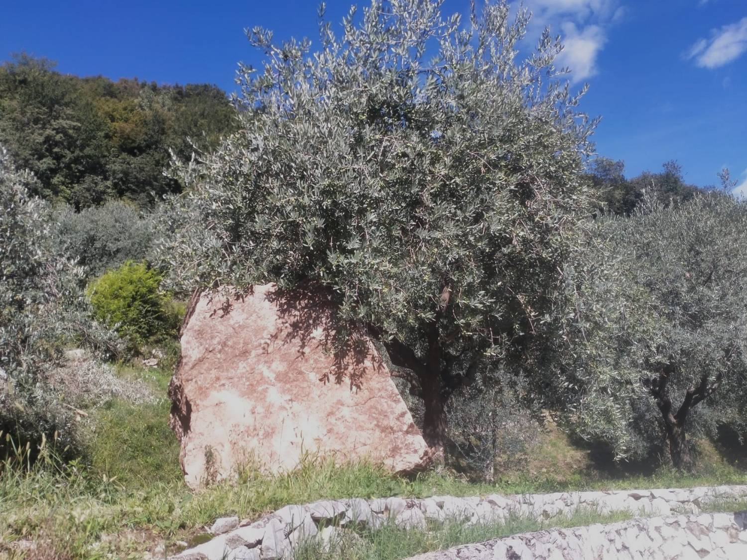 Il massone