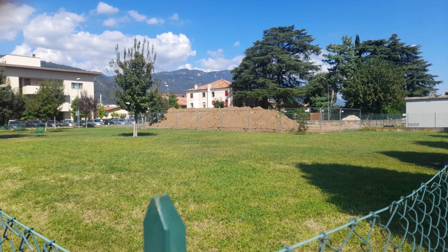 Un Fiore tra gli scavi