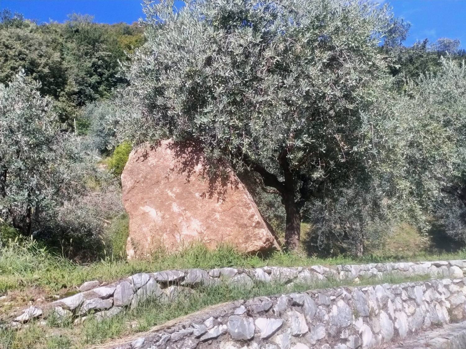 Il massone