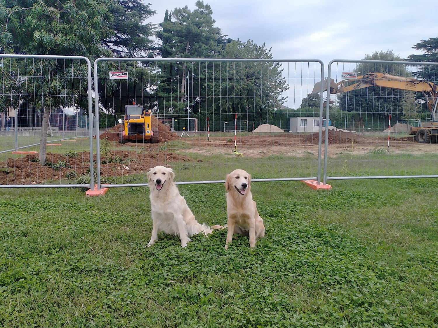 Quella mattina di un giorno da cani