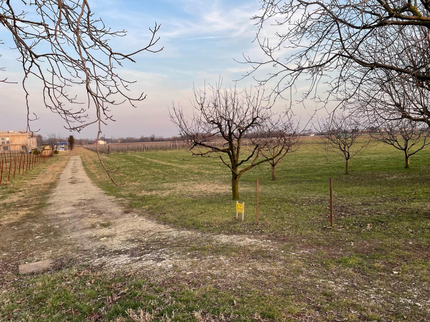 L'area agricola interessata dal progetto (foto di Renzo Masolo)