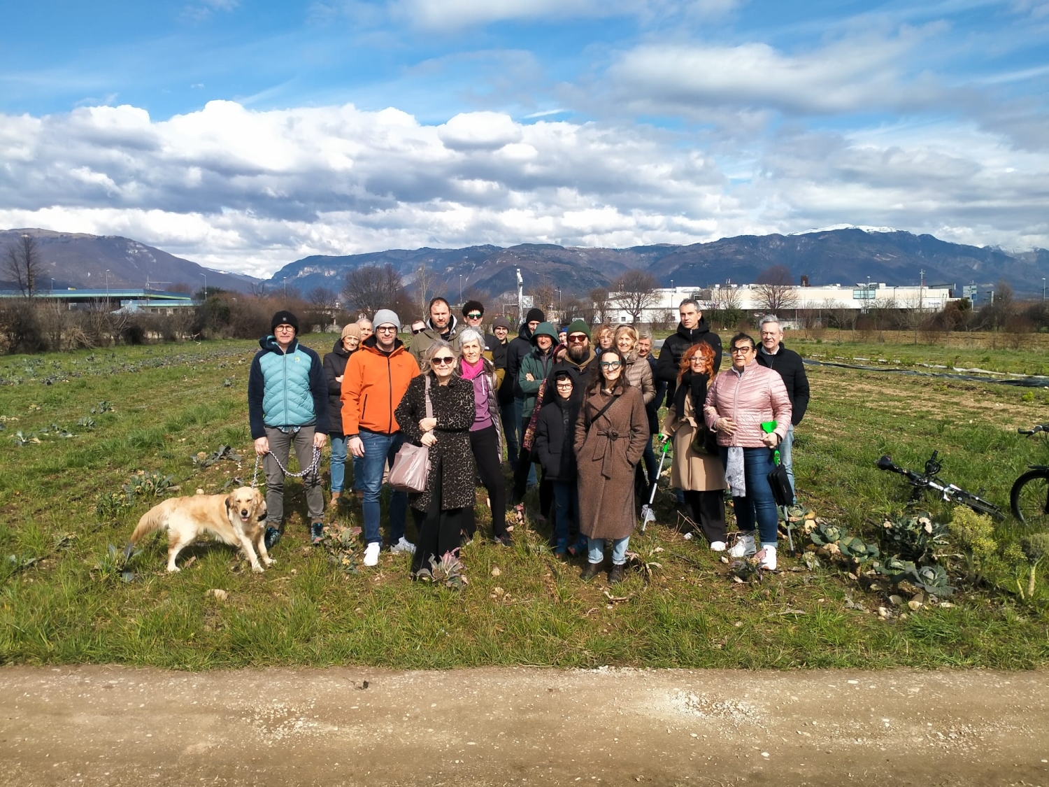 Discesa in campo