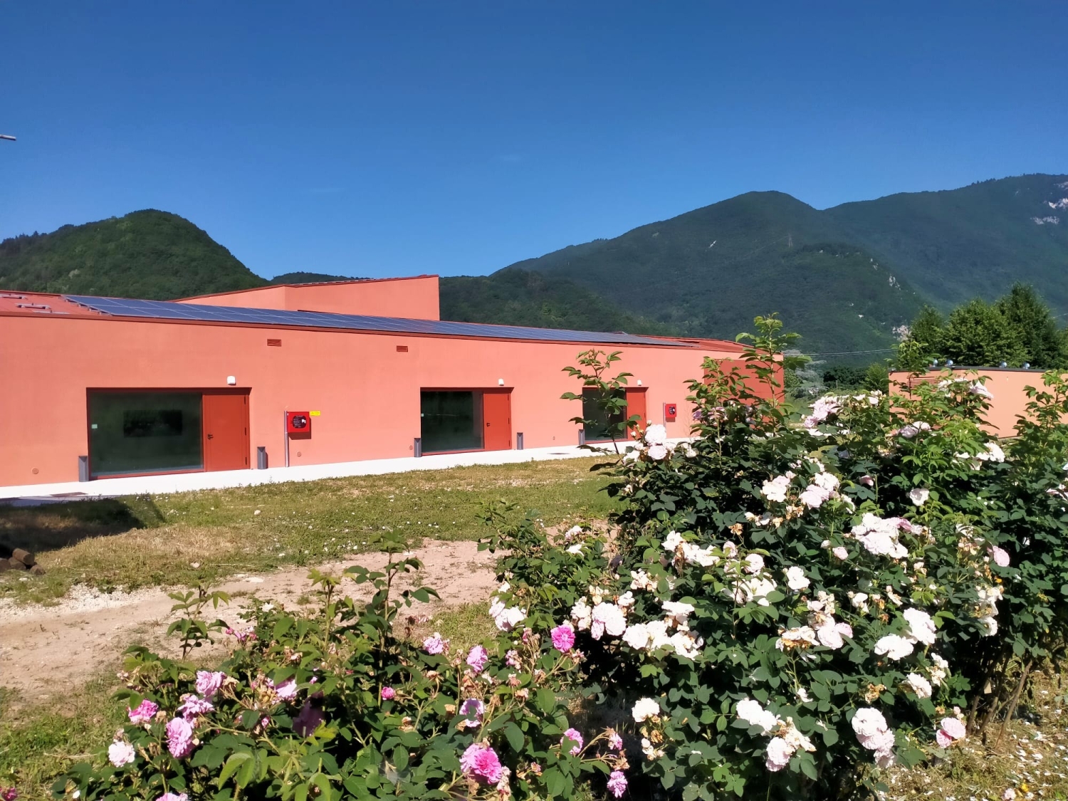 Consorzio Agrario