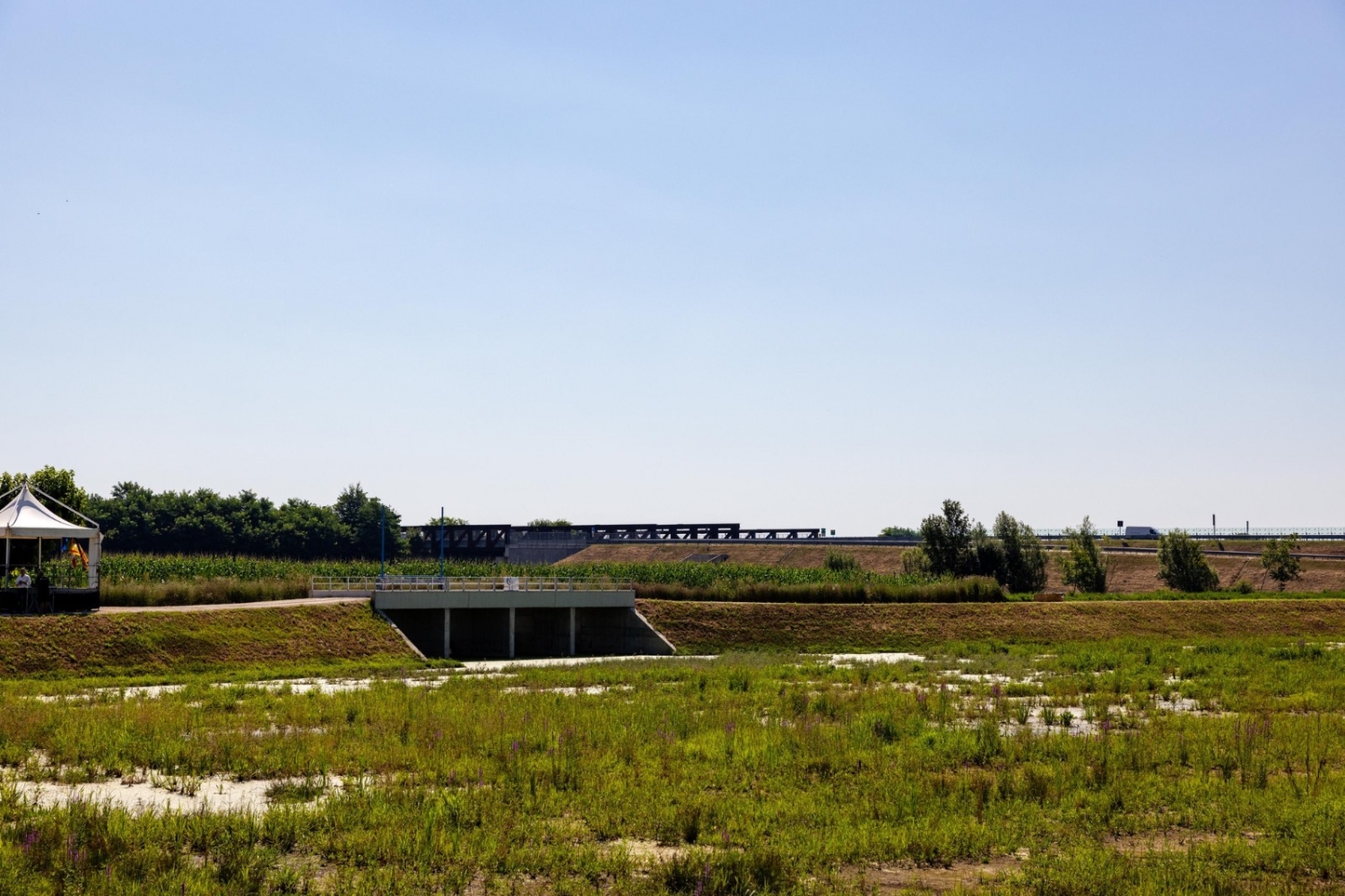 Cassa di risonanza