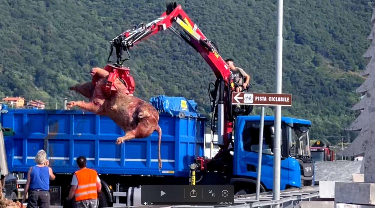 L'incidente dello scorso 4 luglio sulla Ss. 47