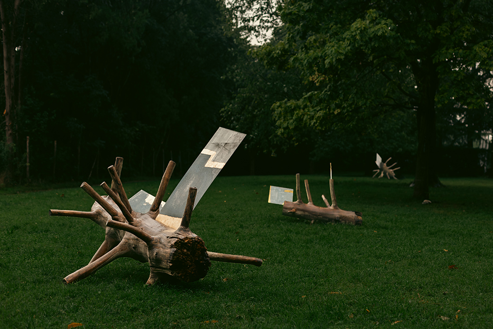 Con Brint, arte contemporanea, territorio e partecipazione
