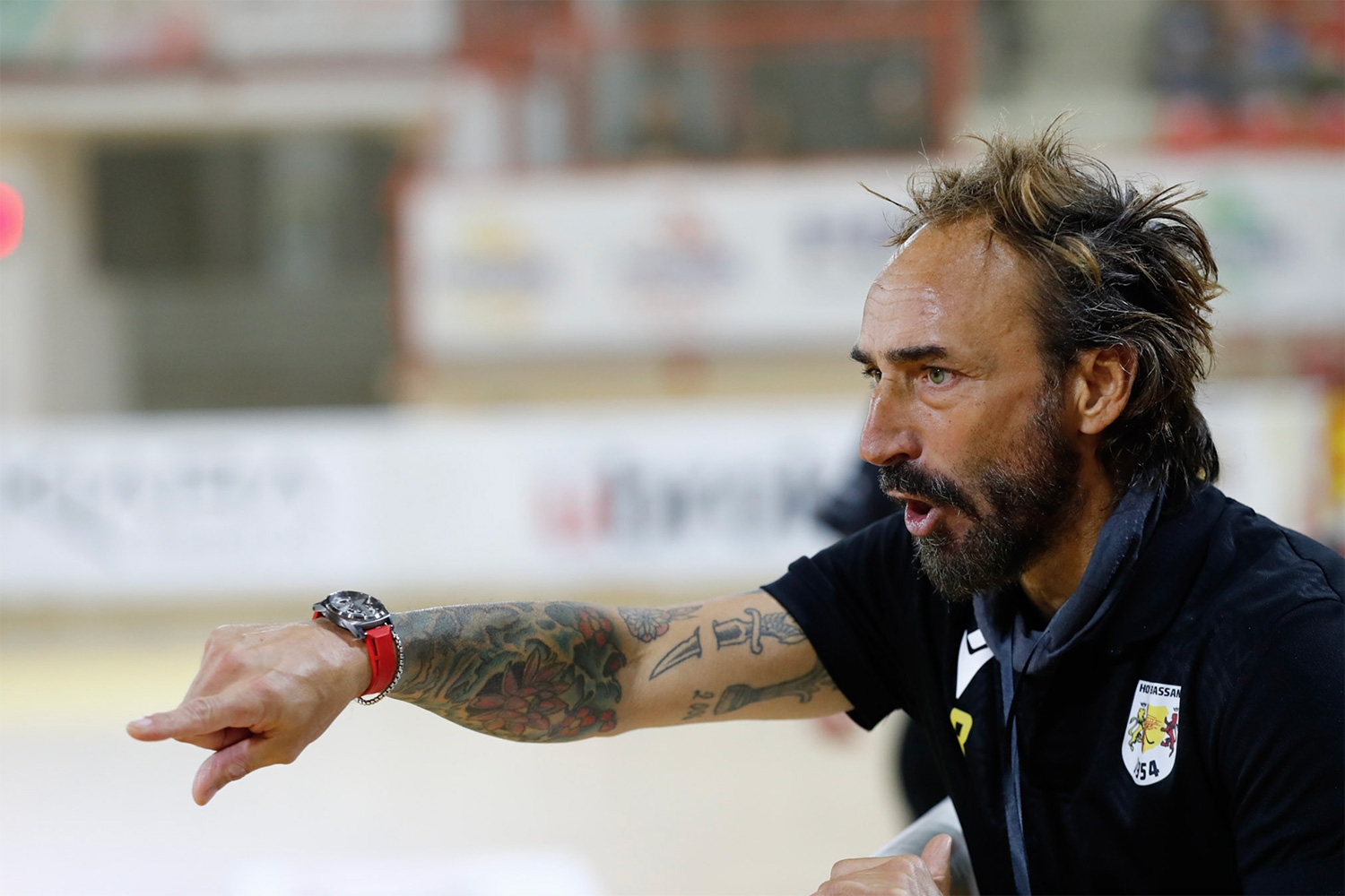 Bassano a testa altissima