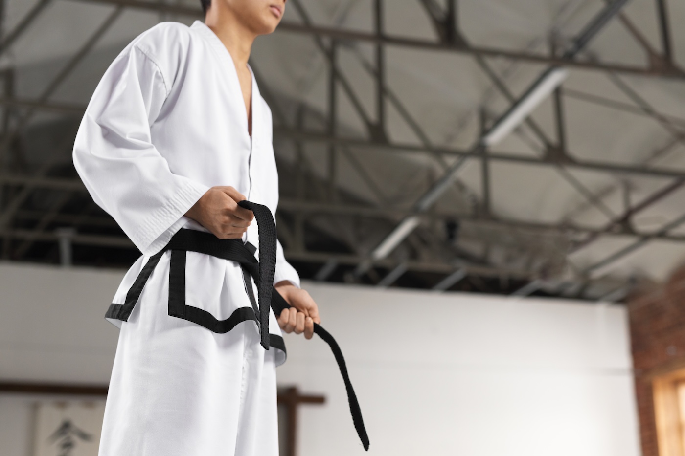 Karate, Bassano capitale per un giorno