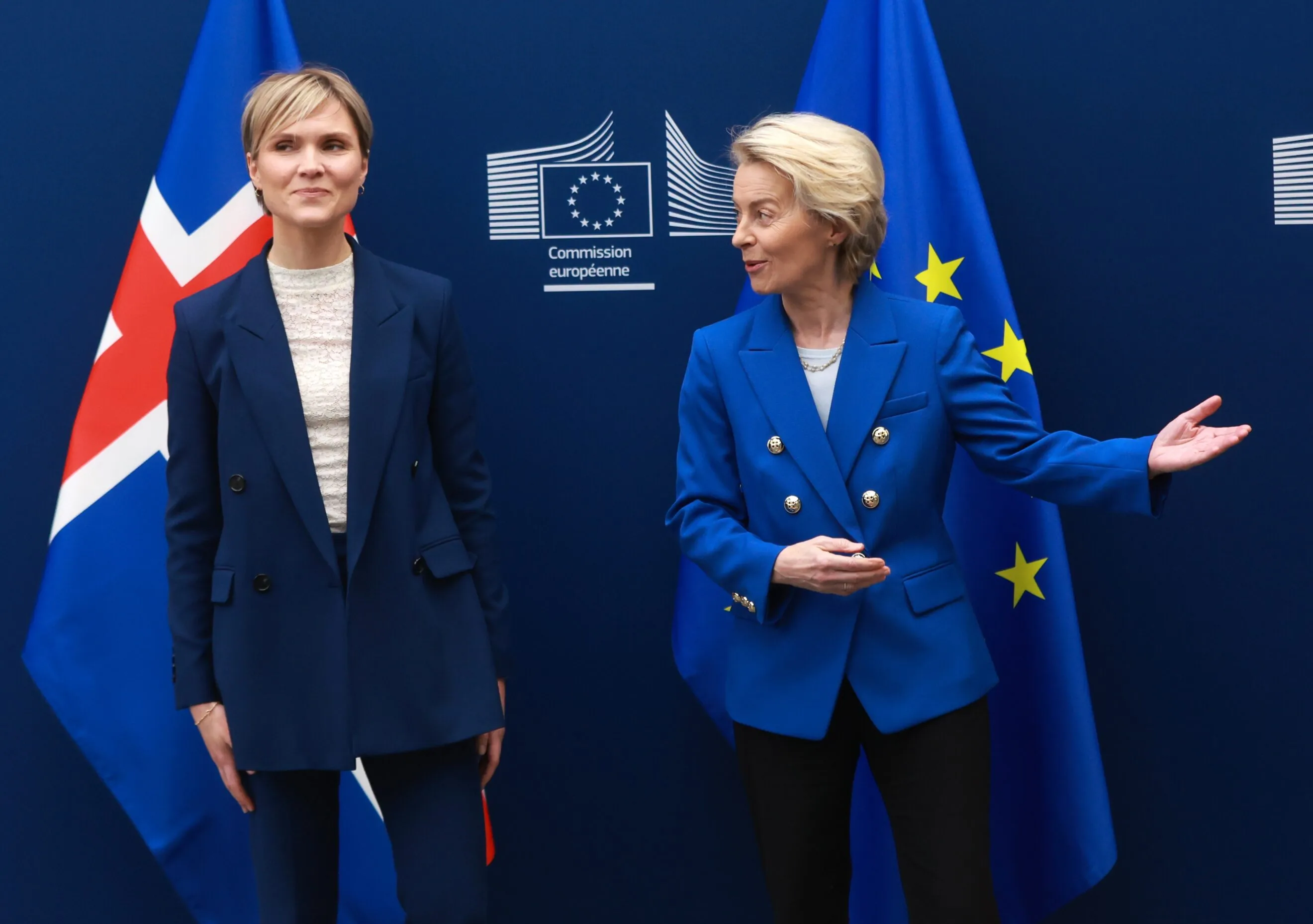 Islanda, possibile referendum per l’adesione all’UE