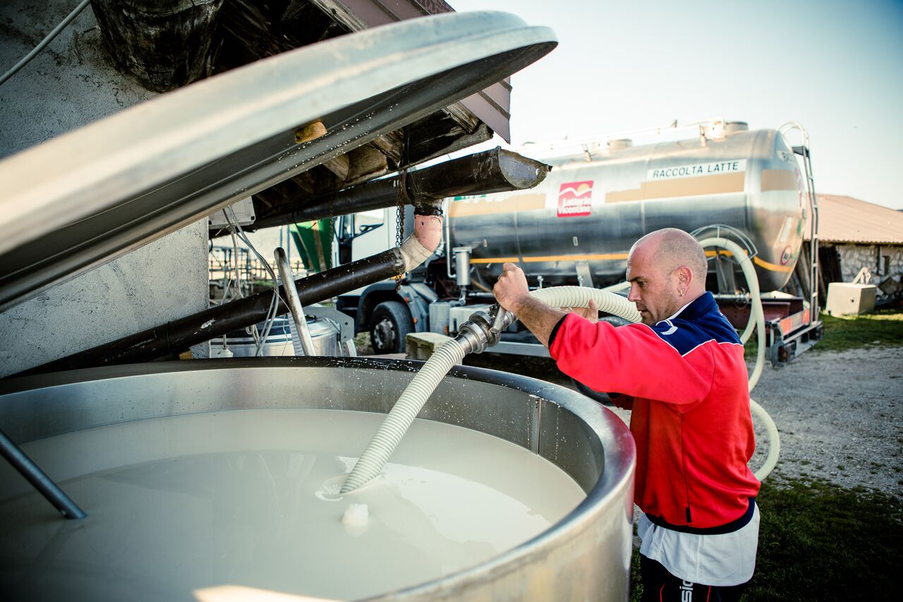 Crisi del latte, il Veneto punta alla regolazione delle stalle