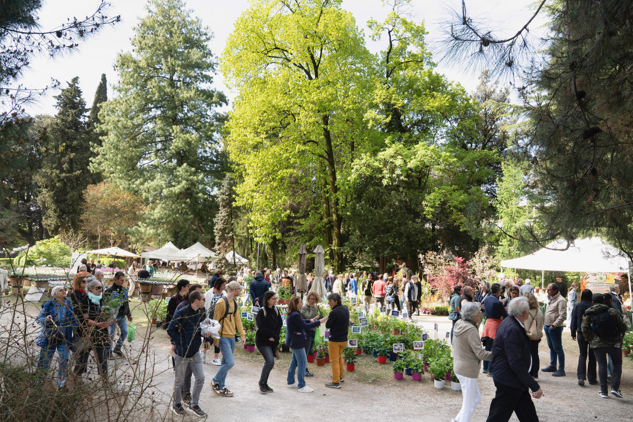Di Rara Pianta: in 40.000 al Giardino Parolini