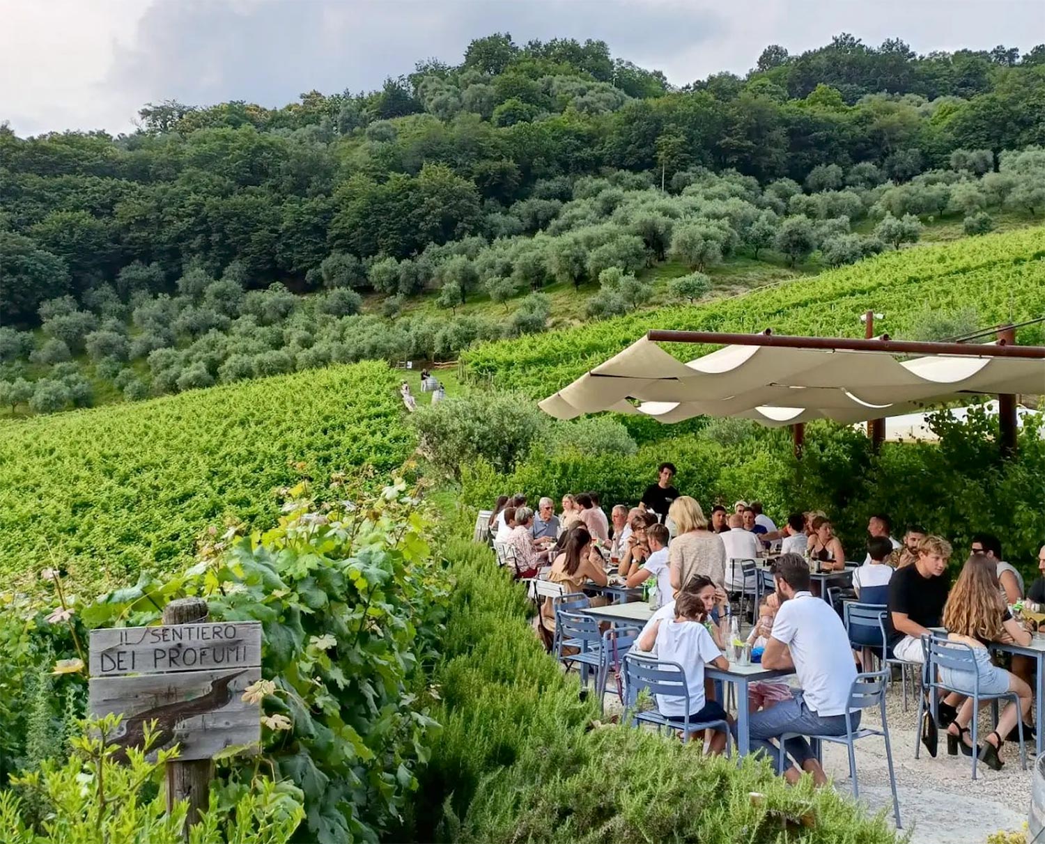 Vignaioli Contrà Soarda a San Michele