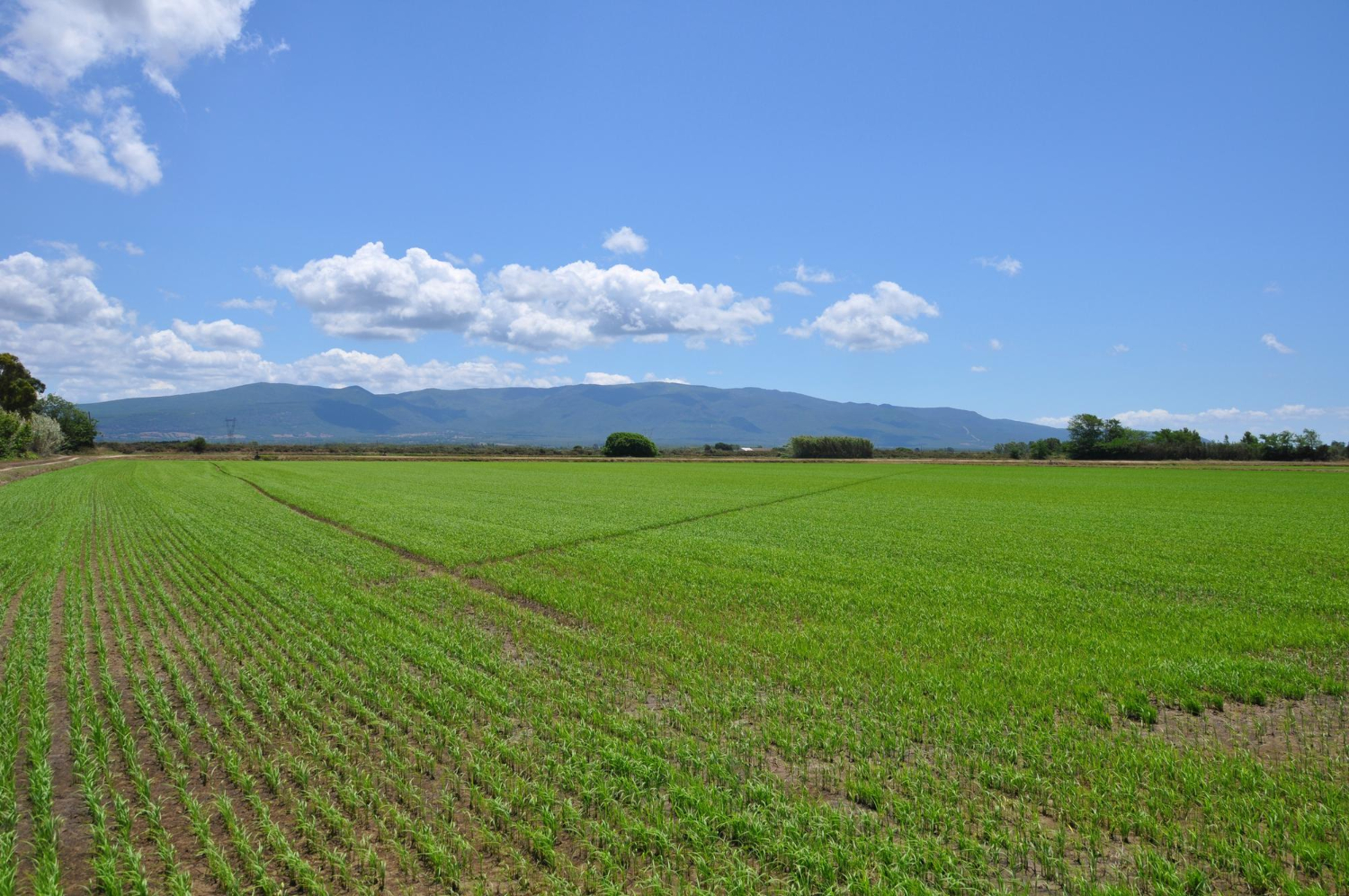 La terra contesa di San Lazzaro: così la logistica riaccende la guerra del cemento