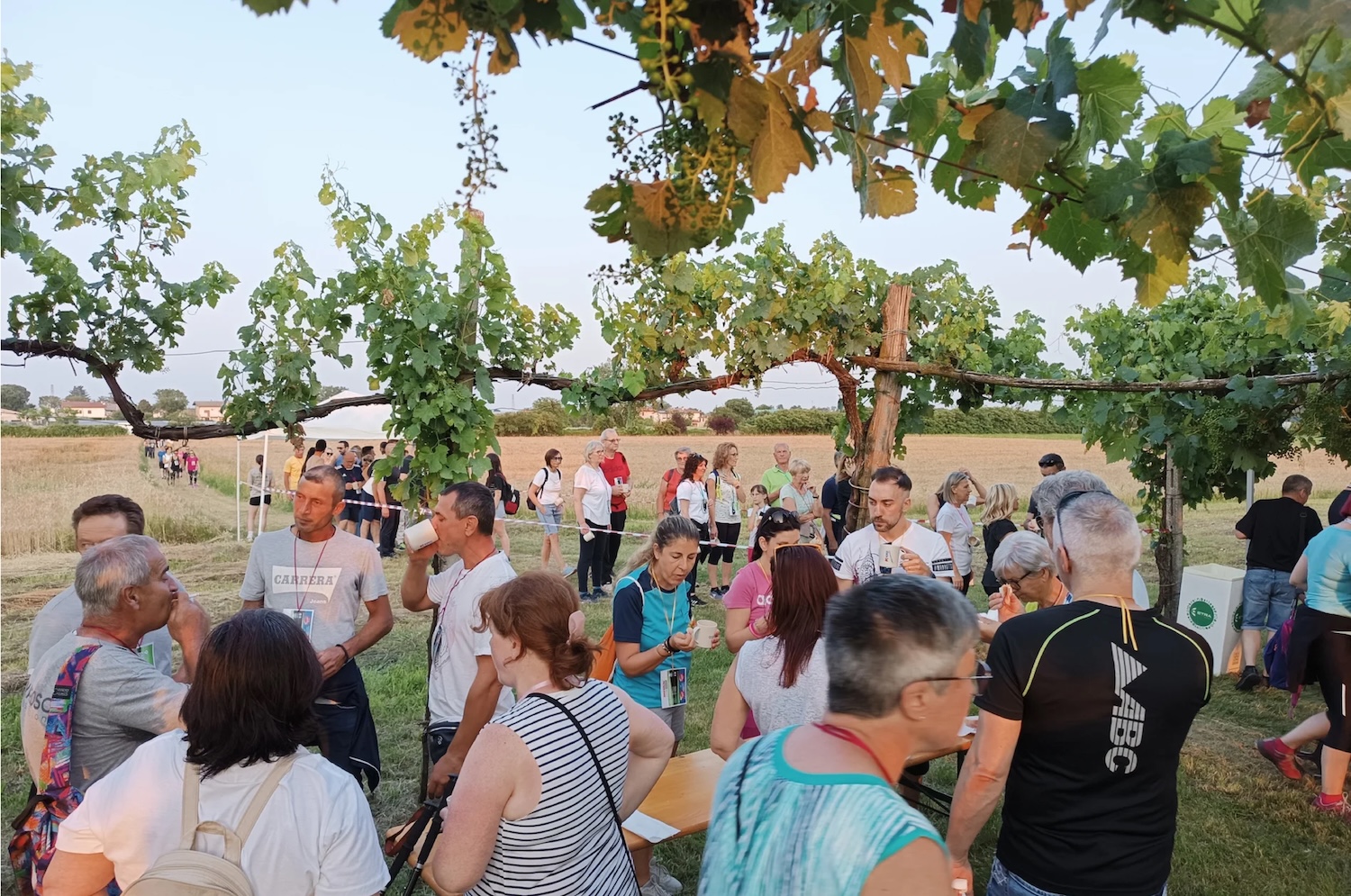 Solidarietà e territorio: sabato torna la Camminata dei Sapori "Sotto le Stelle"