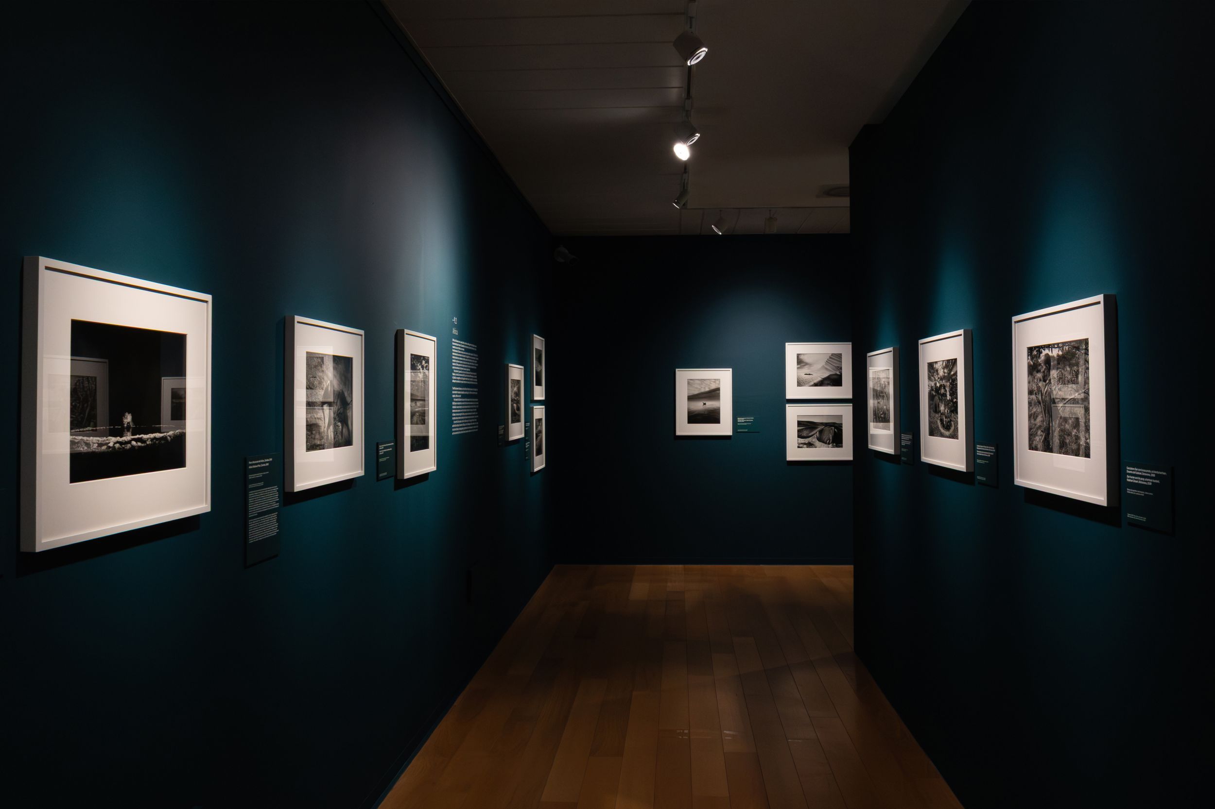 Sebastião Salgado, la grande fotografia arriva a Bassano: oltre 160 scatti al Museo Civico