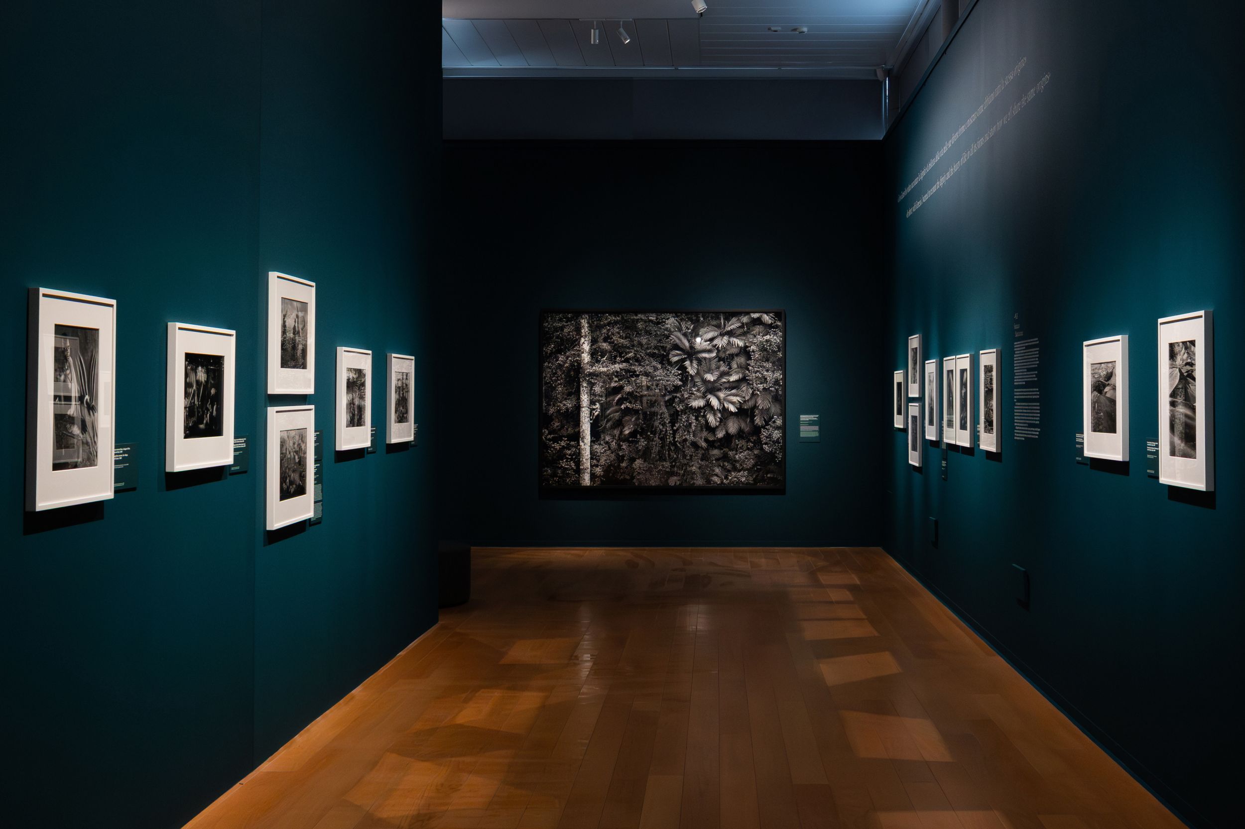 Sebastião Salgado, la grande fotografia arriva a Bassano: oltre 160 scatti al Museo Civico