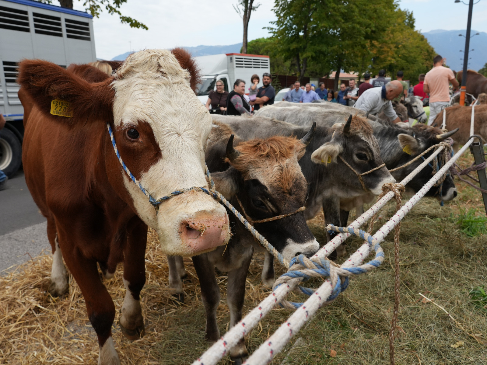 Al via la Fiera franca e Fiera d’Autunno a Bassano